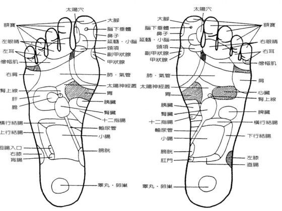 足疗的养生穴位