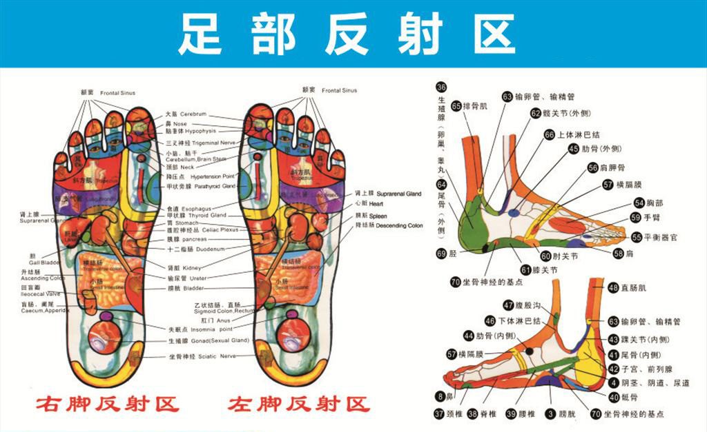 足疗的养生穴位